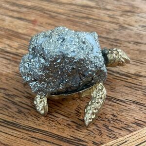 Little pyrite turtle